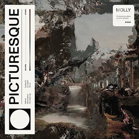Molly: Picturesque [CD]