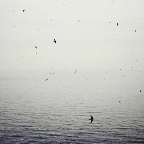 On: Your Naked Ghost Comes Back At Night [CD]