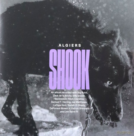 Algiers: Shook [CD]