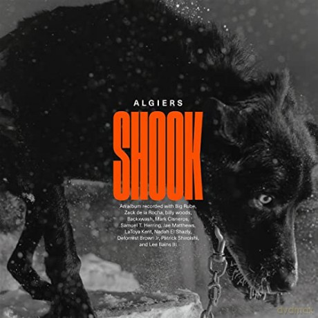 Algiers: Shook [Winyl]
