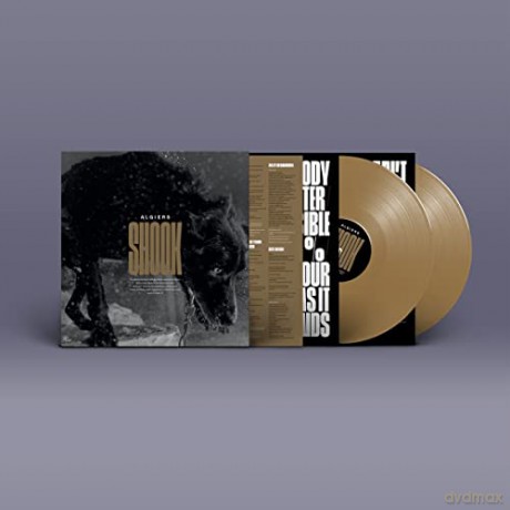 Algiers: Shook (Limited) [Winyl]