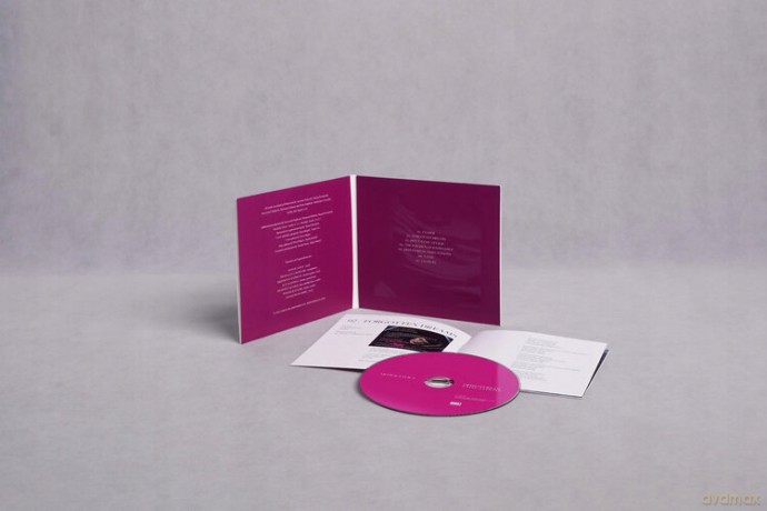 Artificialice: Prisoners of Expectations [CD]