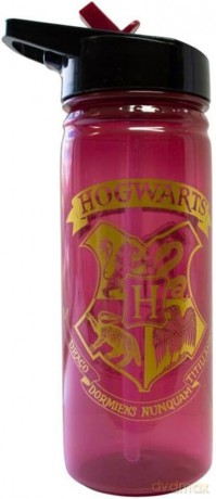 Bidon Harry Potter PP 600 ml HP91553