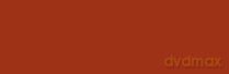 Brystol kolorowy Happy Color 170g A3 25 arkuszy brązowy