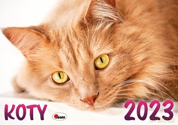 Kalendarz 2023 Koty KA2 [KALENDARZ]