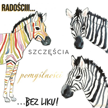 Karnet KW Zebry