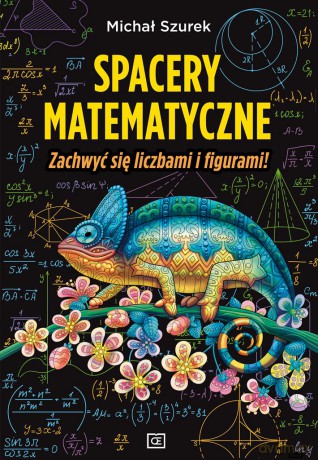 Spacery matematyczne zachwyć się liczbami i figurami! - Michał Szurek [KSIĄŻKA]