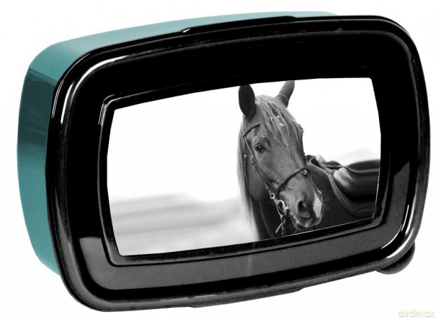 Śniadaniówka Paso Horse PP21KE-3022