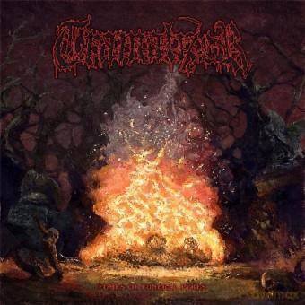 Tramalizer: Fumes Of Funeral Pyres [CD]