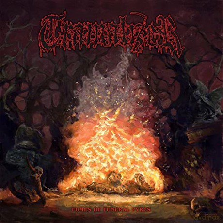 Tramalizer: Fumes Of Funeral Pyres [CD]