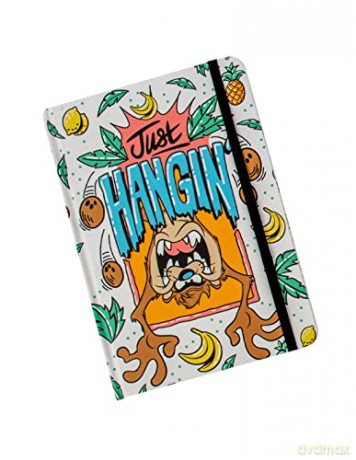 Looney Tunes A5 Casebound Notebook (Taz)