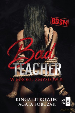 Bad Teacher W mroku zmysłów - Kinga Litkowiec, Agata Sobczak [KSIĄŻKA]