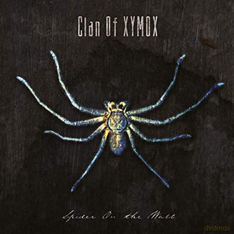 Clan Of Xymox: Spider On The Wall (Splatter) [Winyl]