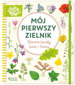 Mój pierwszy zielnik. Zbieram kwiaty, liście i trawy - Stefanie Zysk [KSIĄŻKA]