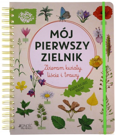 Mój pierwszy zielnik. Zbieram kwiaty, liście i trawy - Stefanie Zysk [KSIĄŻKA]