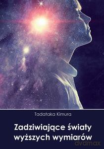 Zadziwiające światy wyższych wymiarów - Tadataka Kimura [KSIĄŻKA]