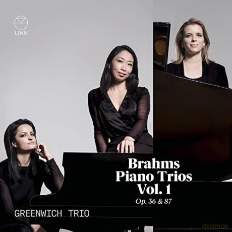 Johannes Brahms: Klaviertrios Vol.1 [CD]