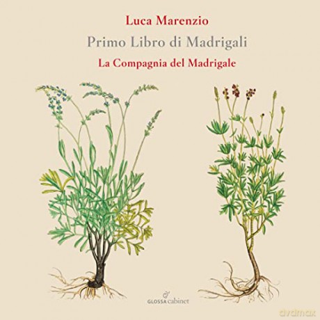 Luca Marenzio: Madrigali Libro 1 [CD]