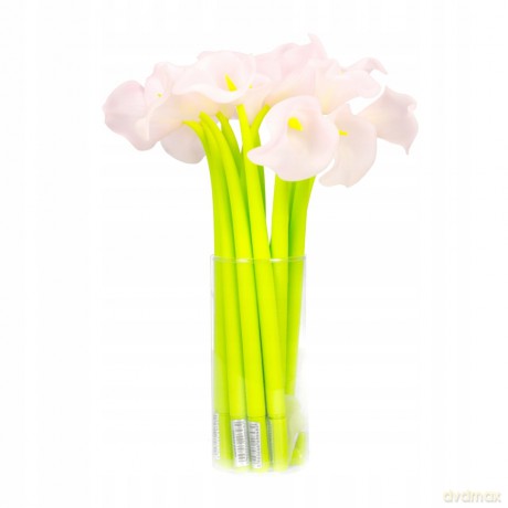 Długopis Żelowy Flowers Starpak 453666 54 sztuki
