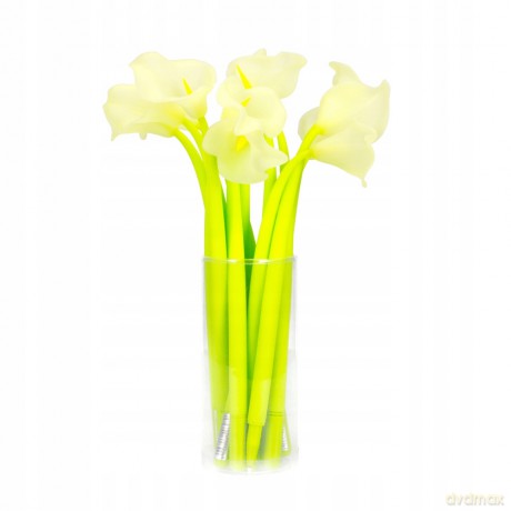 Długopis Żelowy Flowers Starpak 453666 54 sztuki