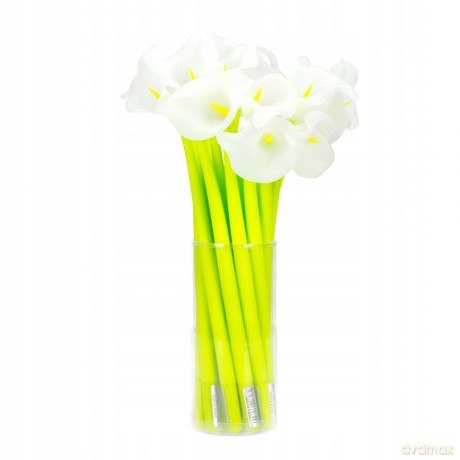 Długopis Żelowy Flowers Starpak 453666 54 sztuki