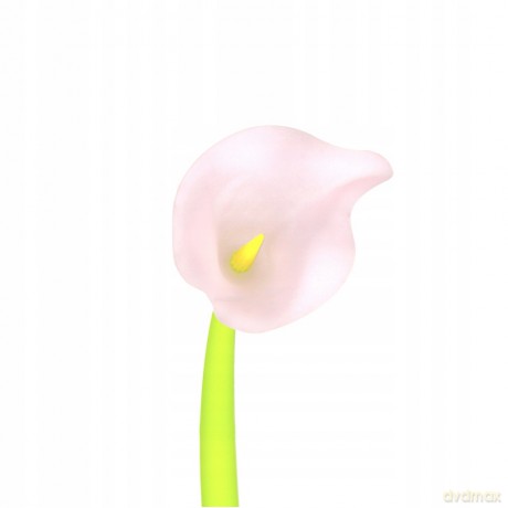 Długopis Żelowy Flowers Starpak 453666 54 sztuki