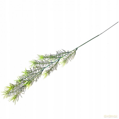 Kompozycja Kwiatowa Asparagus Vc2651 Arpex