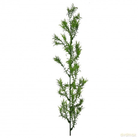 Kompozycja Kwiatowa Asparagus Vc2651 Arpex