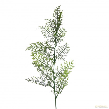 Kompozycja Kwiatowa Asparagus Vc2651 Arpex