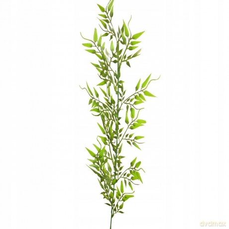 Kompozycja Kwiatowa Asparagus Vc2651 Arpex