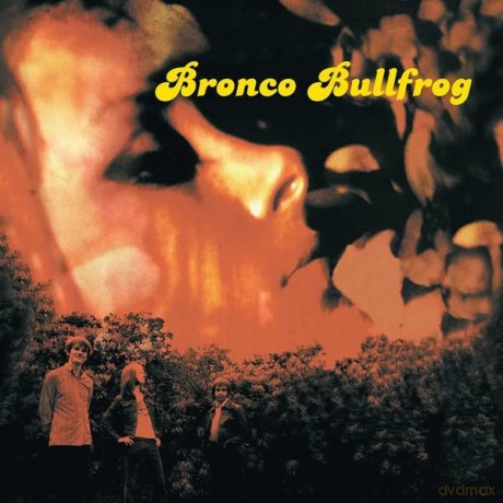 Bronco Bullfrog: Bronco Bullfrog [2xWinyl]