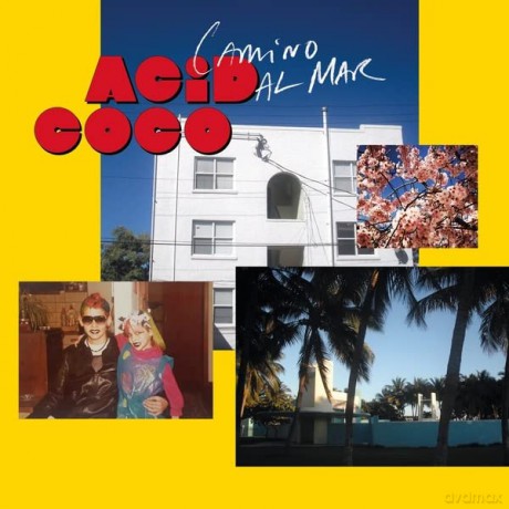 Acid Coco: Camino Al Mar [Winyl]