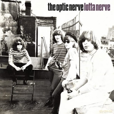 Optic Nerve: Lotta Nerve [Winyl]