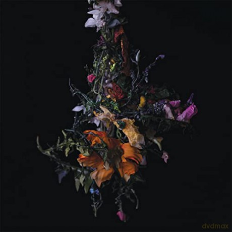 Big Brave: Nature Morte [Winyl]