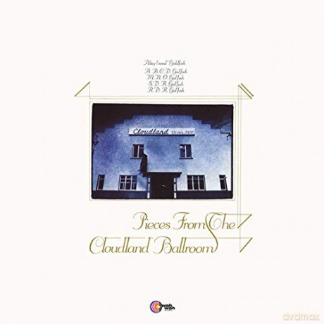 Anthony Moore: Pieces Of A Cloudland Ballroom [Winyl]