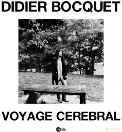 Dider Bocquet: Voyage Cerebral [Winyl]