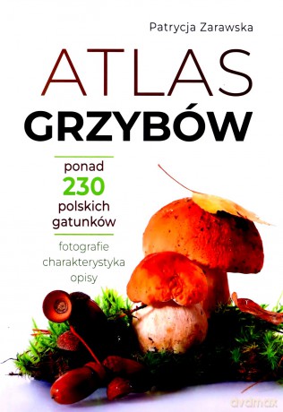 Atlas grzybów - Patrycja Zarawska [KSIĄŻKA]