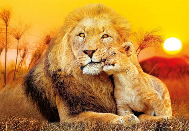 CLEMENTONI 180 el. Super kolor Unexpected hug 29785 [PUZZLE]