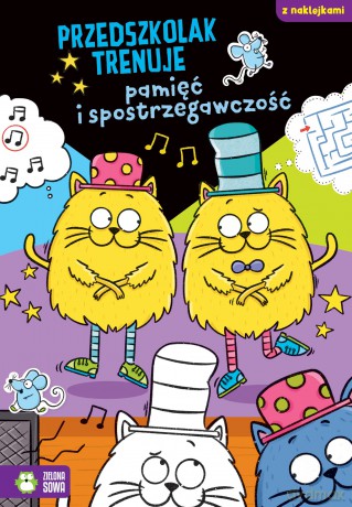 Przedszkolak trenuje pamięć i spostrzegawczość. Przedszkolak trenuje [KSIĄŻKA]