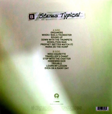 Rizzle Kicks: Stereo Typical [Winyl]