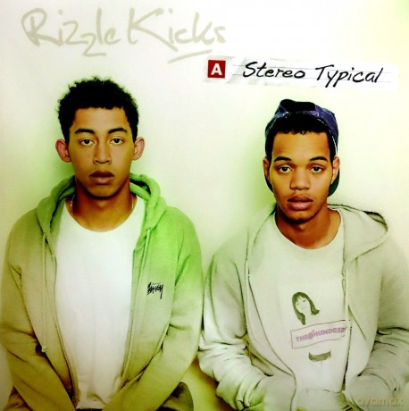 Rizzle Kicks: Stereo Typical [Winyl]