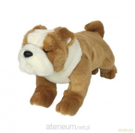 Bulldog 30 cm