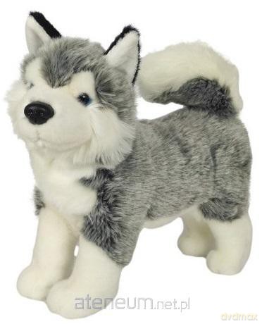 Husky stojący 32cm