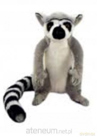 Lemur 22 cm