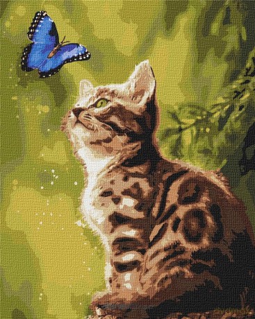 Malowanie po numerach - Tajemniczy Motyl 40x50 cm