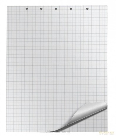 Blok do flipchartów 65x100 cm 20K kratka