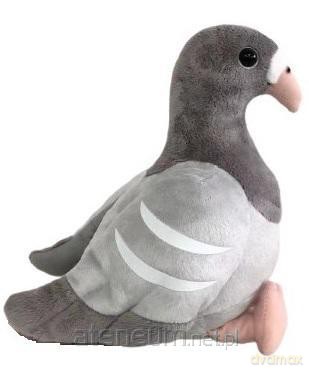 Gołąb szary 24 cm