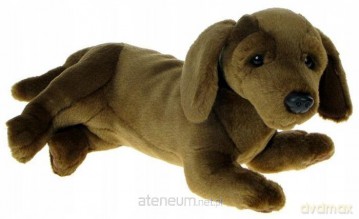 Jamnik 31 cm