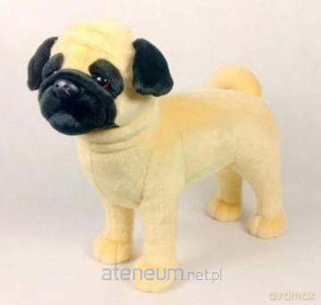 Mops 45 cm