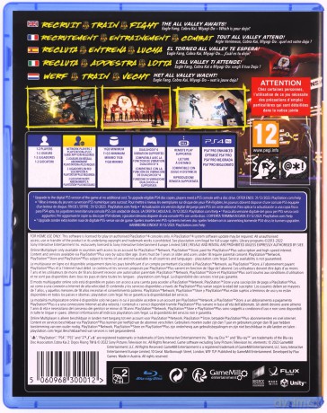 Cobra Kai 2: Dojos Rising [GRA PS4]